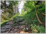 Slika_060.webp