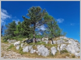 Slika_065.webp