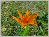 Slika_074.webp
