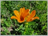 Slika_075.webp