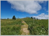 Slika_079.webp