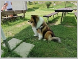 Slika_110.webp