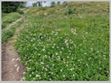 Slika_132.webp