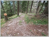 Slika_140.webp