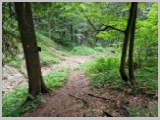 Slika_151.webp