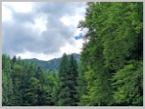 Slika_161.webp