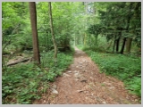 Slika_170.webp