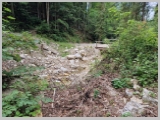 Slika_171.webp