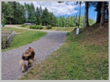 Slika_175.webp