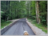 Slika_004.webp