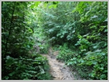 Slika_006.webp