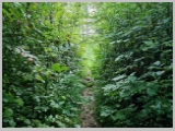 Slika_007.webp