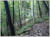 Slika_010.webp