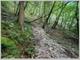 Slika_011.webp