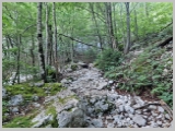 Slika_012.webp