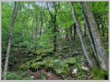 Slika_013.webp