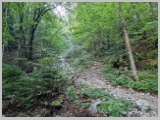 Slika_014.webp