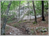 Slika_015.webp