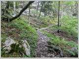 Slika_016.webp