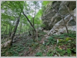 Slika_017.webp