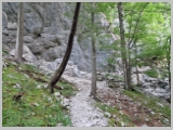 Slika_018.webp