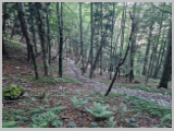 Slika_021.webp