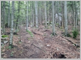 Slika_022.webp