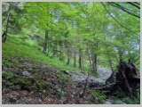 Slika_023.webp