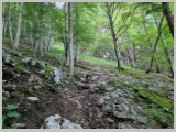 Slika_025.webp