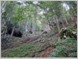 Slika_026.webp