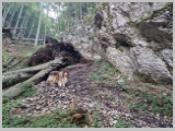 Slika_027.webp