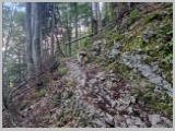 Slika_029.webp