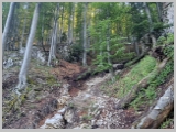 Slika_030.webp