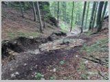 Slika_031.webp