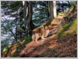 Slika_034.webp