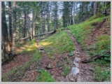 Slika_035.webp