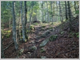 Slika_036.webp