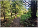Slika_038.webp