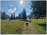 Slika_041.webp