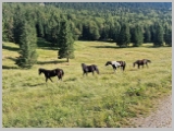 Slika_043.webp