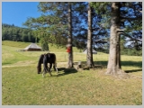 Slika_046.webp