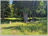 Slika_049.webp