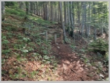 Slika_050.webp