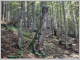 Slika_051.webp