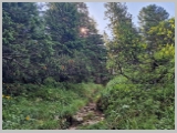 Slika_053.webp