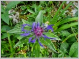 Slika_059.webp