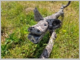 Slika_069.webp