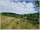 Slika_074.webp