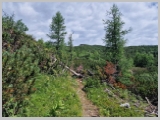 Slika_076.webp