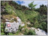 Slika_081.webp
